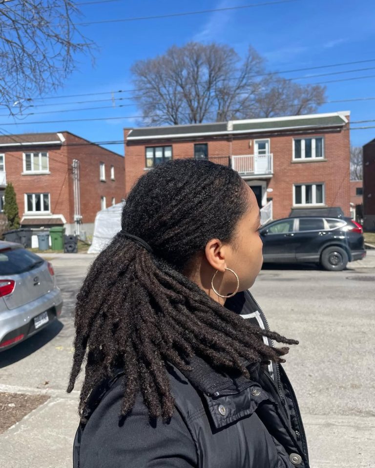 Fall Hairstyles for Black Women 2025 with Braids, Wigs, Curly, Short ...