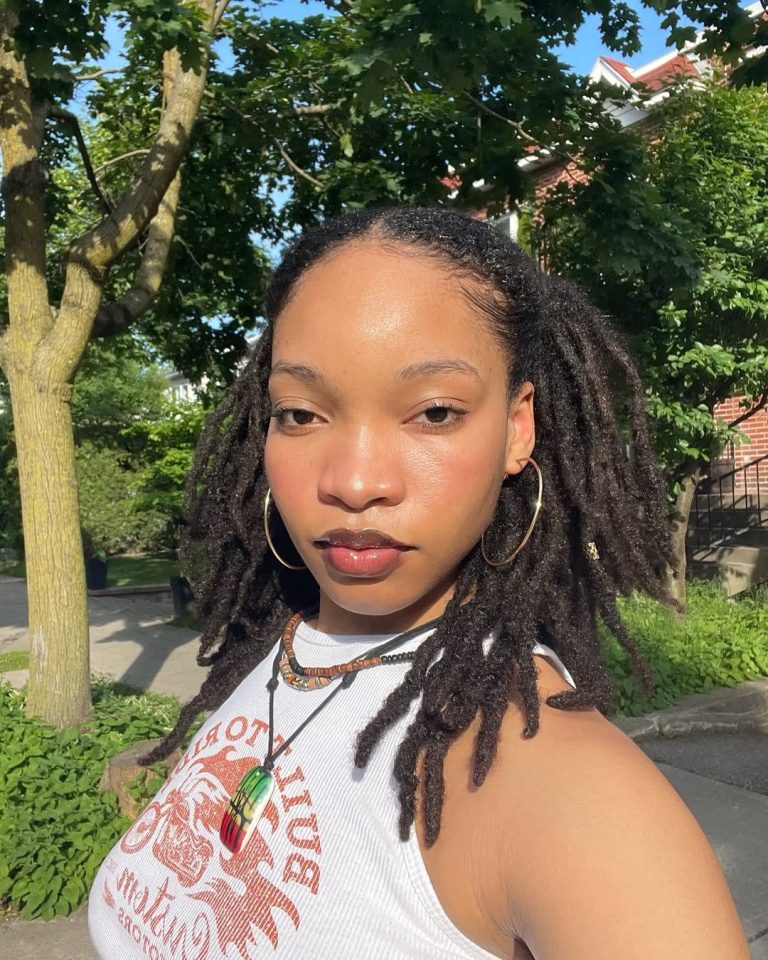 Fall Hairstyles for Black Women 2025 with Braids, Wigs, Curly, Short ...